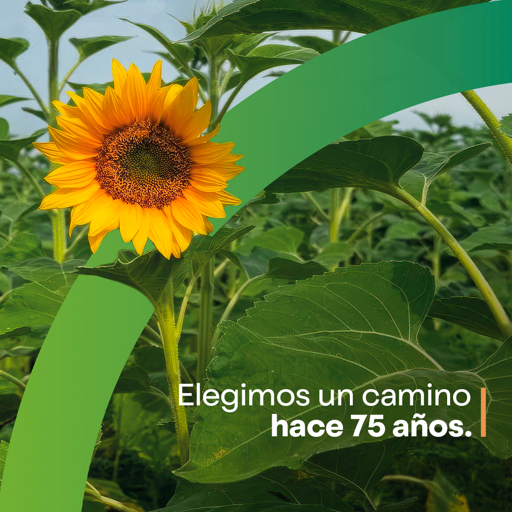 banners web mobile_3